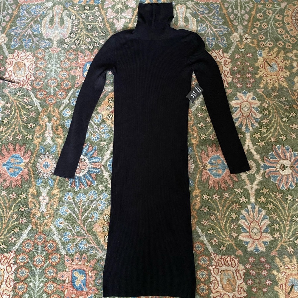 Express Turtleneck Knit Dress
